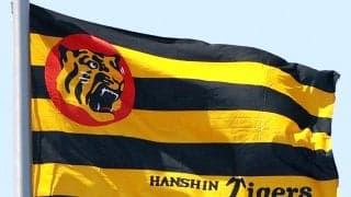 【阪神】８月12、13日２軍オリックス戦前にSGLで熊本地震被災地支援の募金活動を実施