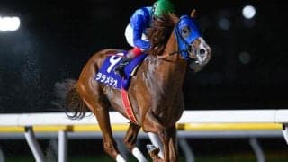 【大井・黒潮盃枠順】夏の名物重賞に多士済々な3歳馬15頭 前走重賞Vのララメテオは8枠14番