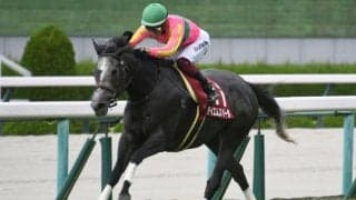 【先週のJRA抹消馬】芝短距離重賞2勝のテイエムスパーダ、重賞2着7回ボンドガールなど