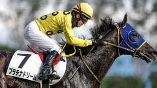 【新潟JS想定騎手】プラチナドリームは高田潤騎手、ブラックボイスは坂口智康騎手