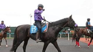 【札幌記念】マジックサンズは２年ぶりの勝利へ上昇気配　陣営「ピリッとした雰囲気で明らかにいいですね」