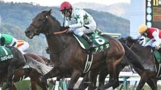 【AI予想・札幌記念】前走のクラスや距離に明確な傾向があるスーパーGII！ 意外な馬にも注目する人工知能の本命候補とは