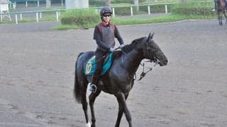 叔父には複数のクラシックホース 土曜新潟芝1800mで初陣のリボンロード/関東馬メイクデビュー情報