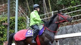 【札幌記念】喉の手術明けエコロヴァルツは仕上がりがポイント　牧浦調教師「本当にいい時と比べると…」