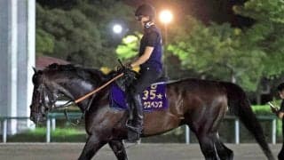 【ジャックルマロワ賞】「海外の芝も合いそう」武豊騎手が“始まりの地”で安田記念馬シックスペンスと１８年ぶり参戦