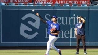 大谷翔平、実は負傷箇所複数…31試合ぶりスタメン外