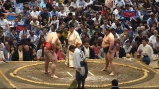 人気力士の背後に“凛”とした女性アスリートの姿 “黄金世代”の異色の存在感に「お相撲お好き！？」ファン注目