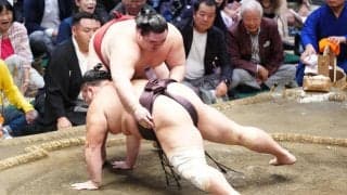 「自分が転んでいてはダメですね」朝乃山が悔しい３敗目　勝ち越し王手はお預け