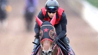【スプリンターズＳ・金曜気配】Ｇ１初挑戦Ｖ狙うフリッカージャブは試練の８枠１５番　西園調教師「仕方ないですね…」
