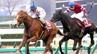 中山記念覇者のマテンロウスカイが競走馬登録を抹消　中山競馬場で乗馬になる予定