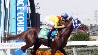 フライトライン産駒のロイヤルエンペラーが浦和でのデビュー戦を７馬身差圧勝　笹川翼騎手絶賛「走りが軽いし、芝でも良さそう」