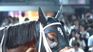【注目馬動向】アウトレンジはＪＢＣクラシックへ　ツキミはファンタジーＳで重賞初制覇狙う