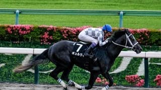 【シリウスS予想】前走3着も着差が大きなマイナス材料!? 競馬の形にも注文がつく信頼しきれない人気馬