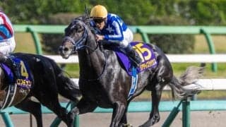 【毎日王冠想定馬・騎手】リアライズシリウス、ホウオウビスケッツなど18頭