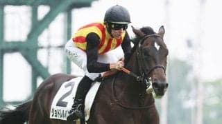 【芙蓉Ｓ・金曜気配】“大物”ジョドレルバンクは坂路で調整　中山は初も武井師「そういうレベルの馬じゃないです」