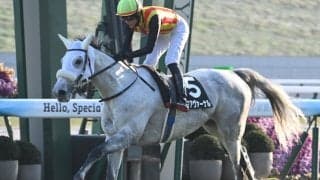 【京都大賞典想定馬・騎手】アクアヴァーナル、ディープモンスターなど22頭