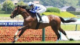 【芙蓉Ｓ・金曜気配】ルメール騎手と初コンビのスタースポットは坂路で最終調整　林師「できれば軽い馬場でやりたいです」