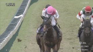 【スプリンターズステークス】ピューロマジックが逃げ切り2026秋の短距離王に！ 歴代勝ち馬ひしめく激戦制しG1初勝利