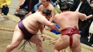 美ノ海が「千秋楽勝てば」の条件クリアし２度目の敢闘賞　沖縄県出身初の新三役有力な10勝到達