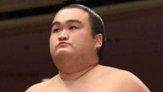 大相撲　熱烈阪神ファンの朝阪神が引退　秋場所３日目に虎のＶを確信　日本相撲協会が引退力士９人を発表