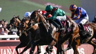 【仏・凱旋門賞結果】ダリズが史上8頭目の連覇達成！ メイショウタバル14着、アドマイヤテラ11着