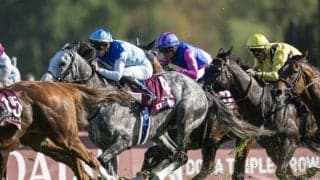 【凱旋門賞】C.デムーロ「ペースが遅かった」アドマイヤテラは一瞬先頭をうかがうも…11着に敗れる