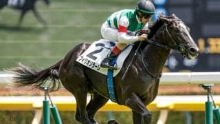 【サウジアラビアRC想定騎手】フィリオソラーレはC.ルメール騎手、デミアンは斎藤新騎手