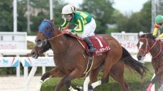 【大井・東京盃枠順】サトノボヤージュは4枠5番、ヤマニンチェルキは5枠8番