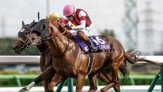 【先週のJRA抹消馬】スプリンターズS覇者ウインカーネリアン、ママコチャなど