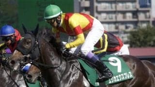 【スワンS予想オッズ】エリカエクスプレスが予想1番人気