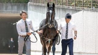 【サウジアラビアRC予想オッズ】フィリオソラーレが予想1番人気