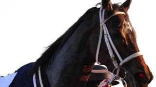 【大井・レディスプレリュード】断然人気ダブルハートボンドは伸び切れず4着…秋初戦飾れず
