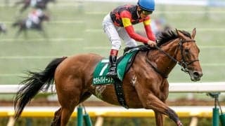 【アイルランドT展望】セキトバイーストが重賞3勝目を狙う