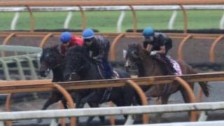 ドンクラッシュはクロワデュノールと併せ馬/関西馬メイクデビュー情報