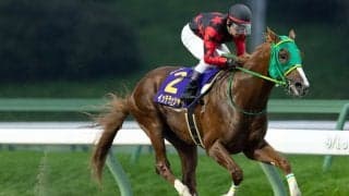 【JDC】ホリエモン愛馬・イッテラッシャイは8枠15番…三冠かかるフィンガーは5枠10番