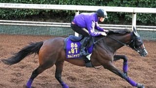 【アイルランドＴ】得意の東京に加え…　万全の舞台設定で始動のカムニャックが盤石の坂路追い　友道調教師「予定通りです」