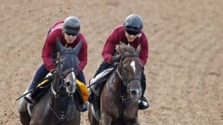 【サウジアラビアＲＣ】ベルウッドディープは新人トレーナーに初重賞をプレゼントできる出来！　室井調教師「大物だと…」　