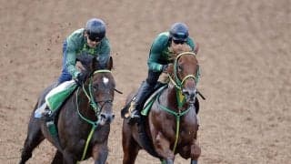 【サウジアラビアＲＣ】フライトライン産駒の有望株デミアンが伸びやかな動き　斎藤誠調教師「腰も力をつけてきて」