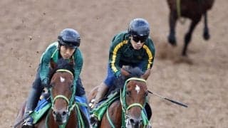 【サウジアラビアＲＣ】サトノハクマイは新馬完勝からの“おかわりＶ”狙う　斎藤誠調教師「勝負になると思います」