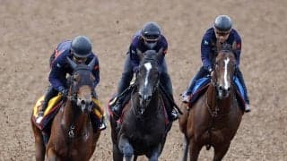 【サウジアラビアＲＣ】フィリオソラーレが重賞ウィナーにひけを取らない動きで併入　陣営「完成度が高い」