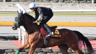 【秋華賞・１週前】桜花賞２着馬ギャラボーグは活気ある動き　杉山晴調教師「春先と比べても…」