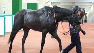 【秋華賞・１週前】４戦３勝のラベルセーヌが絶好の動き　鹿戸調教師も思わず笑み「いい体の使い方をしている」