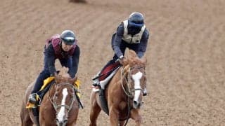 【秋華賞・１週前】サムシングスイートが軽快な動き　伊藤大師は根性を評価「馬にとって狭いところは…」