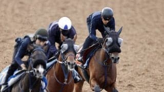 【秋華賞・１週前】マスターソアラは約半馬身遅れも軽快な動きを披露　蛯名正調教師「動きの質や中身は上がっている」