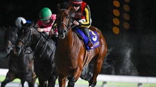 【大井・ジャパンダートクラシック結果】シルバーレシオが差し切ってJpnI初制覇
