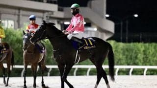 【ジャパンダートクラシック】UAEダービー馬の意地…ワンダーディーン2着、松山弘平「このメンバー相手に力を発揮」
