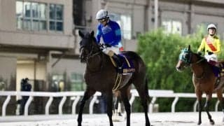 【ジャパンダートクラシック】ルメール「2000mは少し長いかも」…パイロマンサーは5着まで