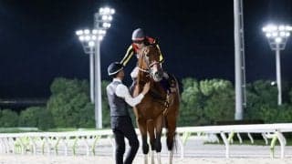 【ジャパンダートクラシック】シルバーレシオ、JBCクラシックも選択肢に…野中師「もっと成長が見込める馬」