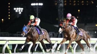 【ジャパンダートクラシック】フィンガー9着、史上初のダート三冠ならず…果敢に逃げるも直線で失速