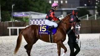 【ジャパンダートクラシック】ホリエモン、愛馬最下位で馬券購入のファンへ謝罪「すいませんでした！また次頑張ります！」